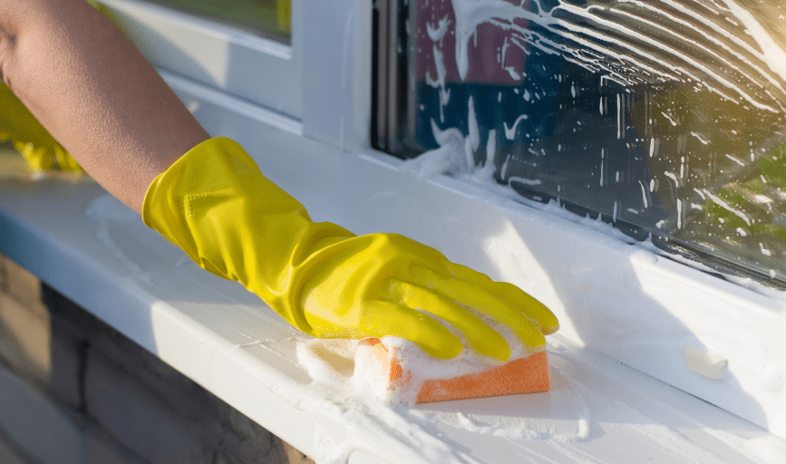 WINDOW CLEANING